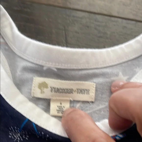 Patriotic Sleeveless Dress - Picture 2 of 4